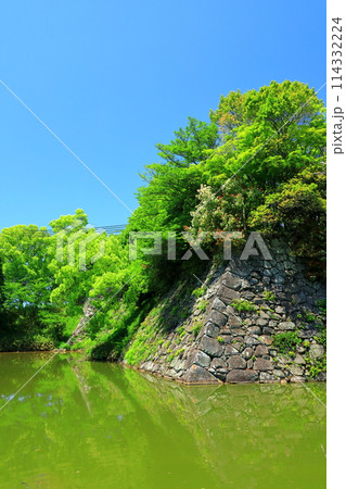奈良県大和郡山市 郡山城跡 毘沙門曲輪横の内堀 奈良県大和郡山市 郡山城跡 毘沙門曲輪横の内堀 114332224