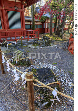 生島足島神社 114332853