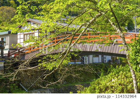 奈良　室生寺門前　室生川に架かる太鼓橋 114332964