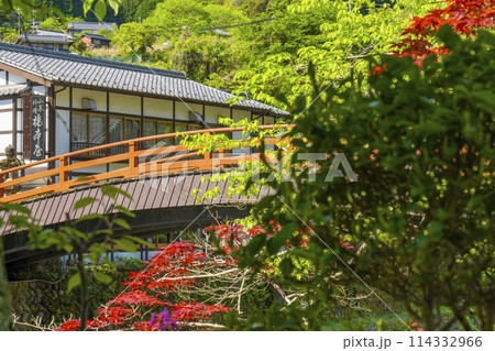 奈良 室生寺門前 室生川に架かる太鼓橋 奈良 室生寺門前 室生川に架かる太鼓橋 114332966
