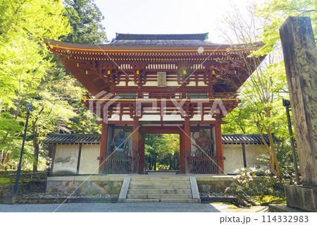 奈良　しゃくなげと室生寺仁王門 114332983