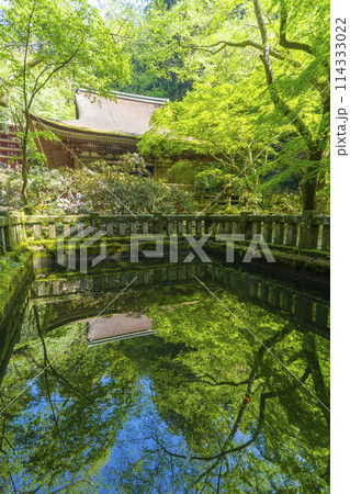奈良　池に映る新緑が美しい室生寺本堂 114333022