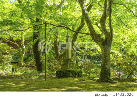 奈良　新緑が美しい室生寺　霊場成満供養塔 114333026