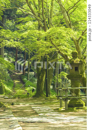 奈良　青紅葉が美しい室生寺　石燈籠 114333049