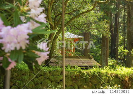 奈良　シャクナゲが美しい室生寺　修円僧都廟 114333052