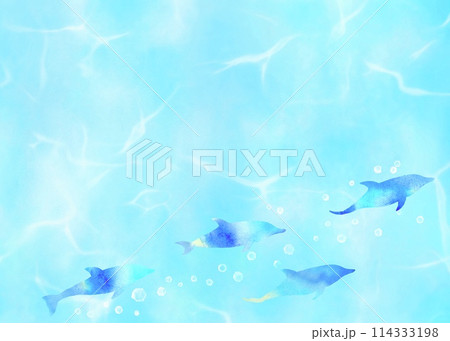 水中をイルカの群れが泳いでいる涼しげな水彩風イラスト。水色背景の夏向けフレーム。 114333198