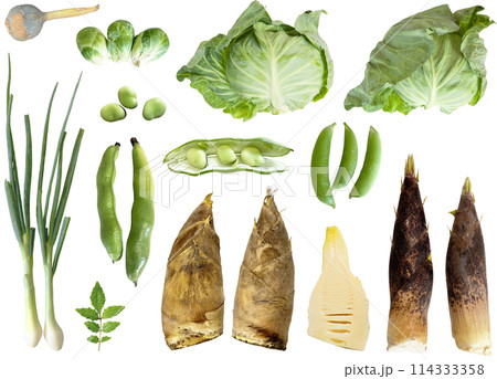 切り抜き素材セットー野菜14 114333358