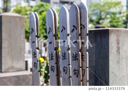 墓地の入一法句と書かれた卒塔婆 114333379