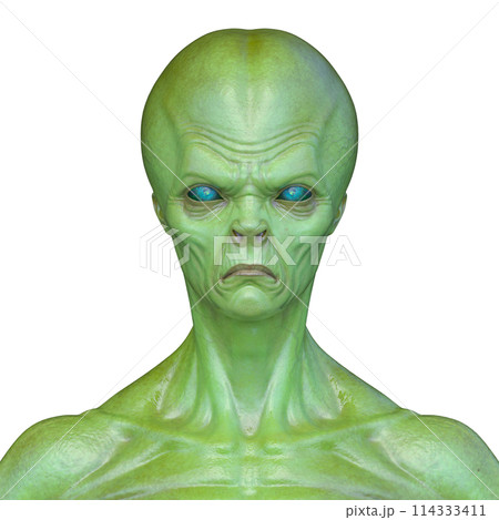 エイリアンの顔 エイリアンの顔 114333411