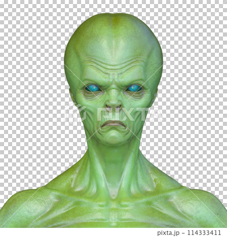 エイリアンの顔 エイリアンの顔 114333411