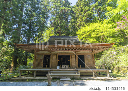 奈良　新緑の季節の室生寺弥勒堂 114333466