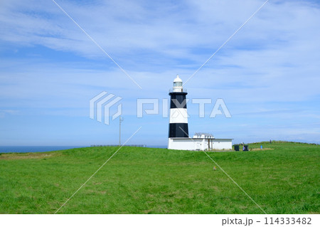 夏の能取岬の風景 114333482