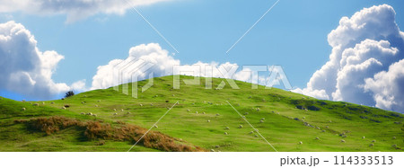 Blue sky, landscape and hill on farm for nature in field, travel or agriculture with sustainability, growth and eco. Meadow, land or Switzerland countryside with ecosystem, biodiversity and location 114333513