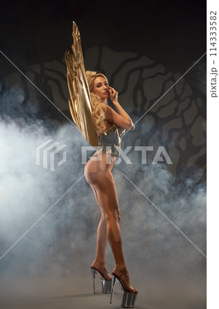 Sexy young woman in golden costume in studio 114333582