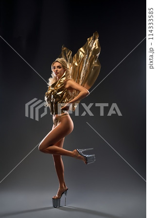 Golden fairy in gold armor and wings standing in dark studio 114333585