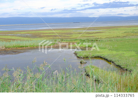 夏のサロマ湖の風景 夏のサロマ湖の風景 114333765