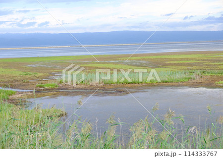 夏のサロマ湖の風景 114333767