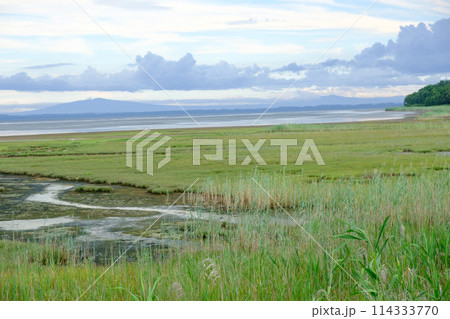 夏のサロマ湖の風景 114333770