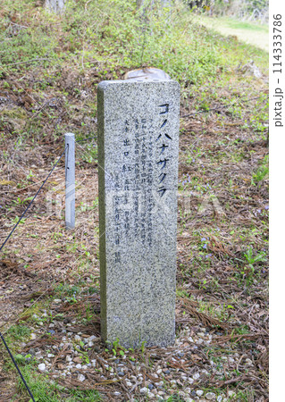 皆神山 皆神神社 皆神山 皆神神社 114333786