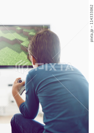 Video, game and boy in home playing with internet connection, weekend and challenge from back. Technology, software and online gamer child in living room with computer screen for creative digital app 114333862