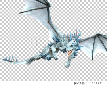 ドラゴン ドラゴン 114333956