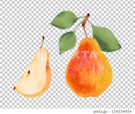 Yellow pear with leaves. Whole and pieces of berries. Botanical watercolor and marker illustration. Ripe fruits from a tree. Vegetarian products. Hand drawn isolated art. Organic healthy food. Yellow pear with leaves. Whole and pieces of berries. Botanical watercolor and marker illustration. Ripe fruits from a tree. Vegetarian products. Hand drawn isolated art. Organic healthy food. 114334454