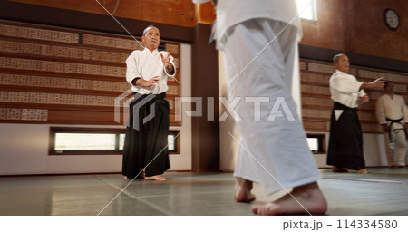 Japanese students, aikido or sensei in dojo to start practice lesson, discipline or teaching self defense. Black belt master, people learning combat or athletes in fighting class, training or sports 114334580