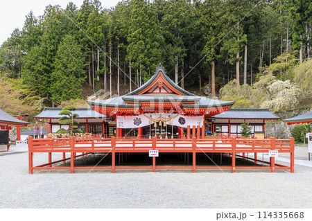 金櫻神社 金櫻神社 114335668
