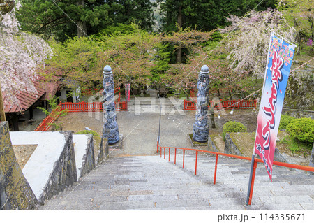 金櫻神社 114335671
