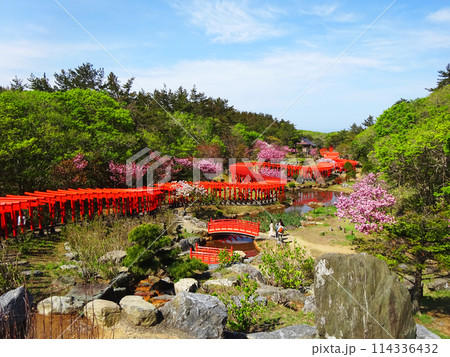 桃源郷のような美しい神社 桃源郷のような美しい神社 114336432