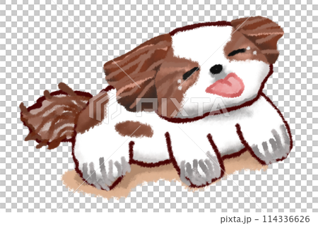 Shih Tzu dog crying tears of joy 114336626
