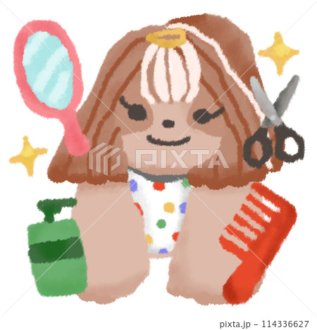 ペット美容室に来たシーズー ペット美容室に来たシーズー 114336627