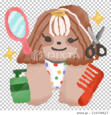 ペット美容室に来たシーズー ペット美容室に来たシーズー 114336627