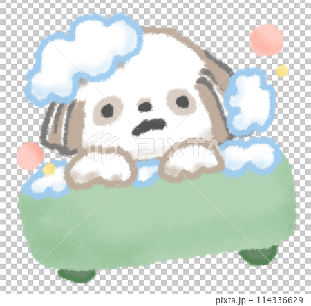 お風呂に入っているシーズー犬 114336629