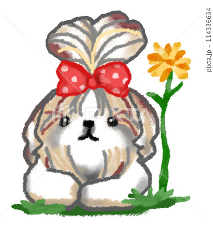 リボンを付けたシーズーとダリア リボンを付けたシーズーとダリア 114336634