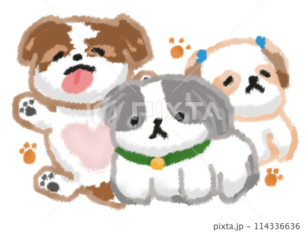 のんびりとした三匹のシーズー犬のイラスト 114336636