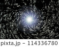 宇宙空間のワープをイメージした背景素材（ワームホール ・ブラックホールのイメージ） 114336780