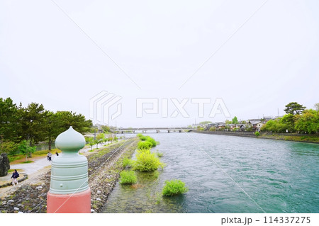 京都 宇治 朝霧橋から見た下流方向の宇治川(宇治公園)(晩春) 京都 宇治 朝霧橋から見た下流方向の宇治川(宇治公園)(晩春) 114337275