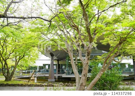 京都 宇治 源氏物語ミュージアムと新録の紅葉(晩春) 京都 宇治 源氏物語ミュージアムと新録の紅葉(晩春) 114337298