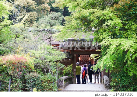 京都 宇治 宇治上神社の表門と拝殿(晩春) 京都 宇治 宇治上神社の表門と拝殿(晩春) 114337310