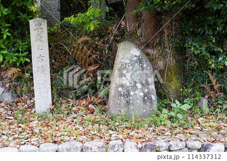 京都　宇治　宇治十帖　早蕨の古跡（宇治上神社北側）（晩春） 114337312