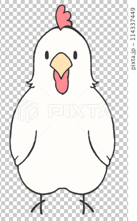 A chicken standing and looking at me 114337449