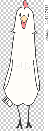 A chicken stretches out and looks at you 114337452