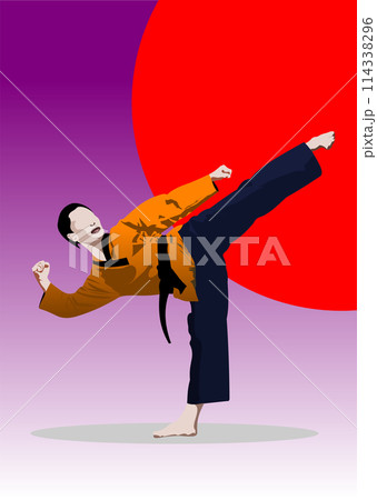 Oriental combat sports. Colored 3d vector illustration Oriental combat sports. Colored 3d vector illustration 114338296