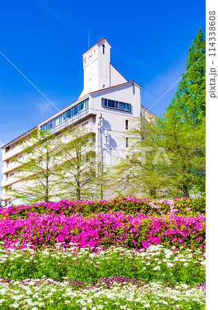新緑の神戸しあわせの村と青空と満開のツツジ 新緑の神戸しあわせの村と青空と満開のツツジ 114338608