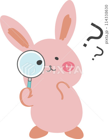 うさぎ,可愛い,疑問 114338630