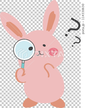 Rabbit, cute, question 114338630