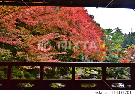 津和野 島根 紅葉 秋 旧堀氏庭園 津和野 島根 紅葉 秋 旧堀氏庭園 114338701