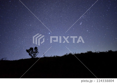 秋吉台カルスト 山口 夜空 星空 秋吉台カルスト 山口 夜空 星空 114338804