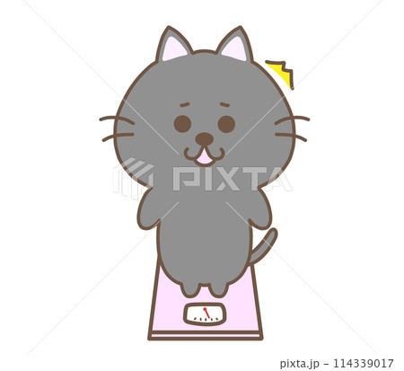 体重計にのって驚くくろねこ 体重計にのって驚くくろねこ 114339017